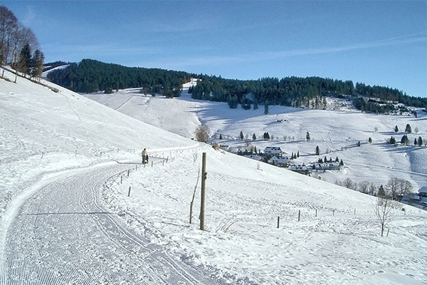 Todtnauberg im Schwarzwald